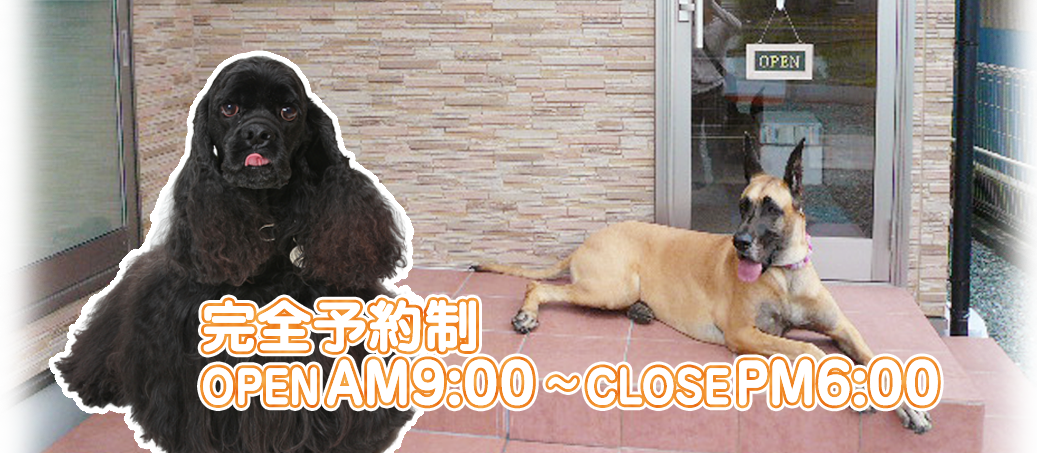 完全予約制　OPEN AM9:00～CLOSE PM6:00