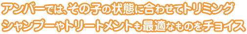 アンバーでは、その子の状態に合わせてトリミングシャンプーやトリートメントも最適なものをチョイス
